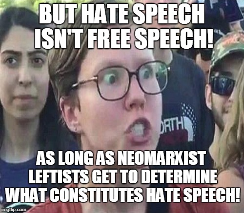 BUT HATE SPEECH ISN'T FREE SPEECH! AS LONG AS NEOMARXIST LEFTISTS GET TO DETERMINE WHAT CONSTITUTES HATE SPEECH! | made w/ Imgflip meme maker