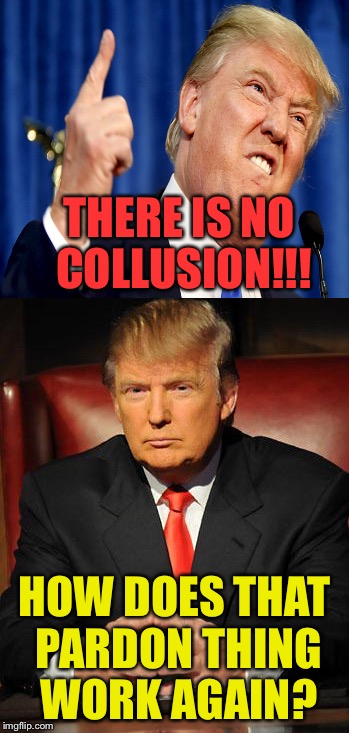 THERE IS NO COLLUSION!!! HOW DOES THAT PARDON THING WORK AGAIN? | made w/ Imgflip meme maker
