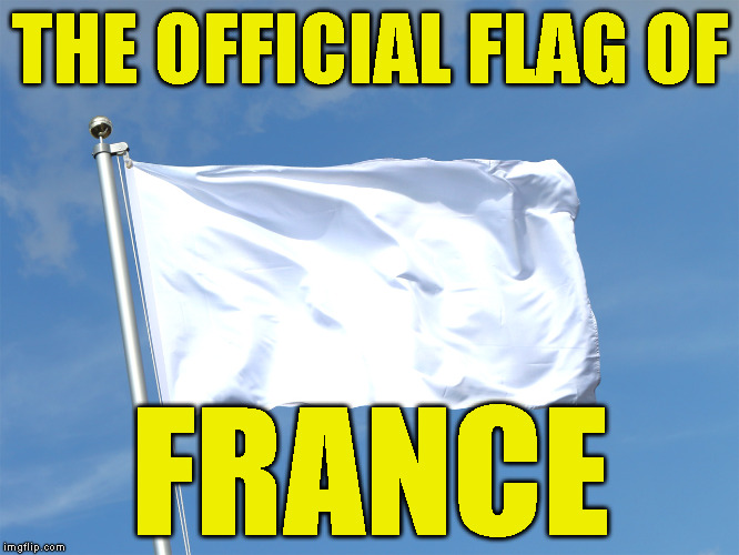 Glorious French Engineering | THE OFFICIAL FLAG OF; FRANCE | image tagged in glorious french engineering | made w/ Imgflip meme maker