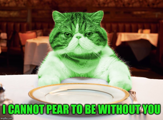 RayCat Hungry | I CANNOT PEAR TO BE WITHOUT YOU | image tagged in raycat hungry | made w/ Imgflip meme maker