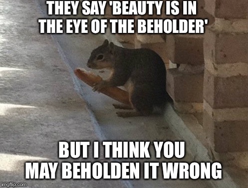 Lonely Squirrel | THEY SAY 'BEAUTY IS IN THE EYE OF THE BEHOLDER'; BUT I THINK YOU MAY BEHOLDEN IT WRONG | image tagged in happy squirrel | made w/ Imgflip meme maker