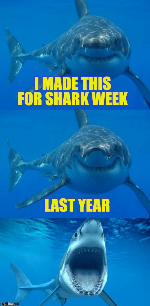 Bad Shark Pun  | I MADE THIS FOR SHARK WEEK LAST YEAR | image tagged in bad shark pun | made w/ Imgflip meme maker