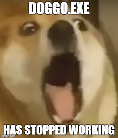 Doggo.exe has run into an error | DOGGO.EXE; HAS STOPPED WORKING | image tagged in doggo,doge,error,exe,cute | made w/ Imgflip meme maker