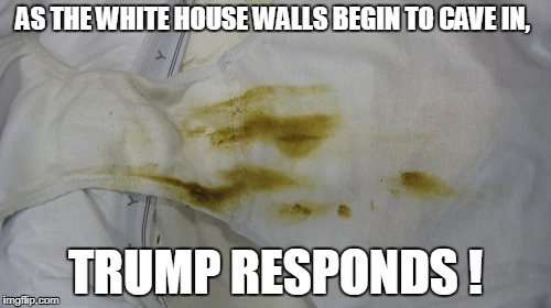 AS THE WHITE HOUSE WALLS BEGIN TO CAVE IN, TRUMP RESPONDS ! | image tagged in shit | made w/ Imgflip meme maker