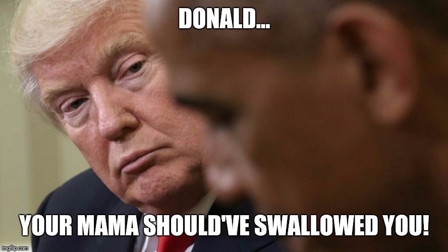 Let's be honest.... | DONALD... YOUR MAMA SHOULD'VE SWALLOWED YOU! | image tagged in donald trump | made w/ Imgflip meme maker