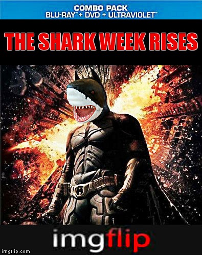 Shark Week! A Raydog event!   June 23rd through the 30th | THE SHARK WEEK RISES | image tagged in shark week,dark knight rises | made w/ Imgflip meme maker