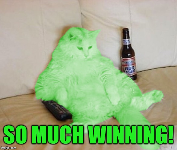 RayCat Chillin' | SO MUCH WINNING! | image tagged in raycat chillin' | made w/ Imgflip meme maker