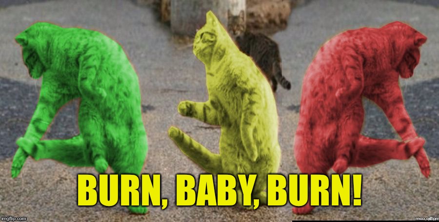 Three Dancing RayCats | BURN, BABY, BURN! | image tagged in three dancing raycats | made w/ Imgflip meme maker