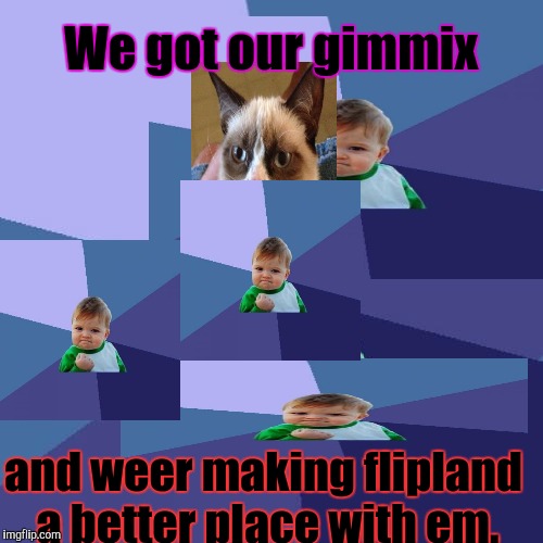 Success Kid Meme | We got our gimmix and weer making flipland a better place with em. | image tagged in memes,success kid | made w/ Imgflip meme maker