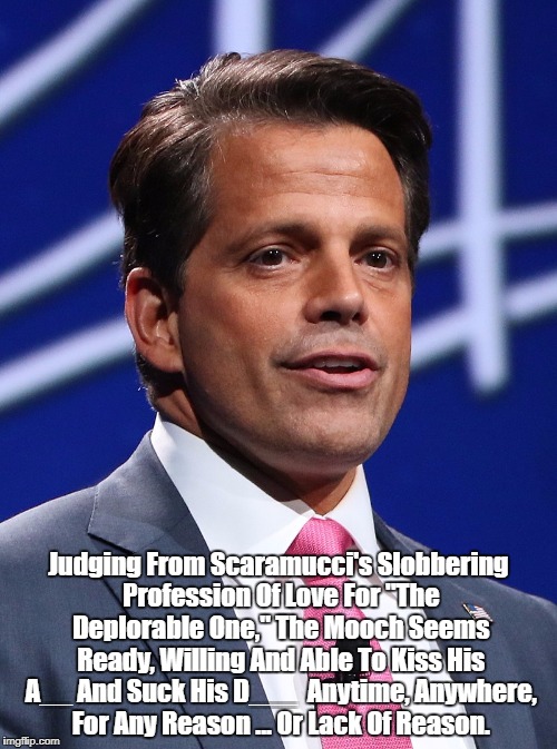 We're Gonna Miss Ya "Mooch" | Judging From Scaramucci's Slobbering Profession Of Love For "The Deplorable One," The Mooch Seems Ready, Willing And Able To Kiss His A__ And Suck His D___  Anytime, Anywhere, For Any Reason ... Or Lack Of Reason. | image tagged in scaramucci,we knew mooch was a jerk why didn't trump,despicable donald,deplorable donald,mafia don,goombah tony | made w/ Imgflip meme maker