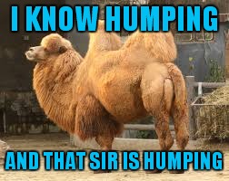 I KNOW HUMPING AND THAT SIR IS HUMPING | made w/ Imgflip meme maker