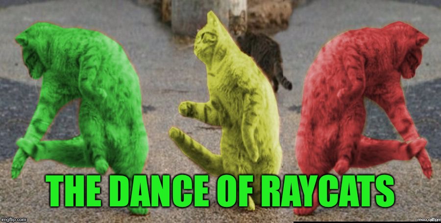 Three Dancing RayCats | THE DANCE OF RAYCATS | image tagged in three dancing raycats | made w/ Imgflip meme maker