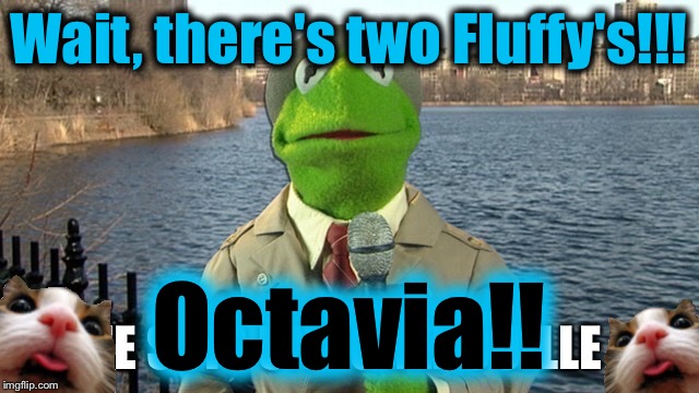 Wait, there's two Fluffy's!!! Octavia!! | made w/ Imgflip meme maker