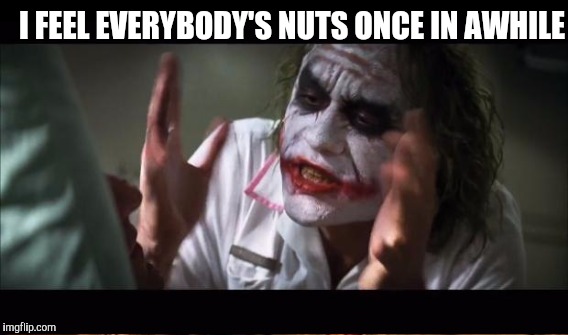 I FEEL EVERYBODY'S NUTS ONCE IN AWHILE | made w/ Imgflip meme maker