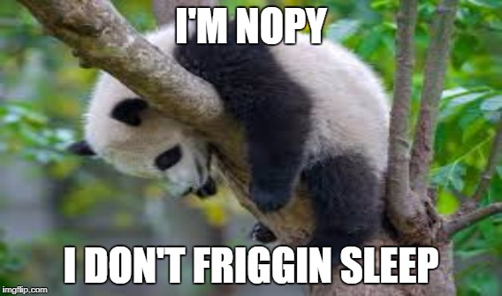 I'M NOPY; I DON'T FRIGGIN SLEEP | made w/ Imgflip meme maker