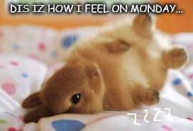 I beez bumbed | DIS IZ HOW I FEEL ON MONDAY... | image tagged in memes | made w/ Imgflip meme maker