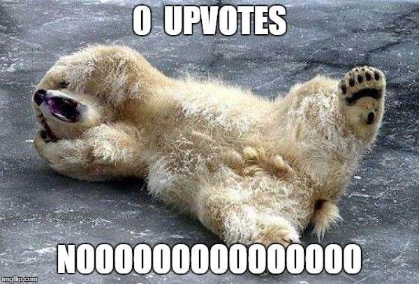 0 upvotes polar bear | 0  UPVOTES; NOOOOOOOOOOOOOOO | image tagged in oh nooo polar bear | made w/ Imgflip meme maker