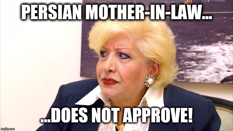 PERSIAN MOTHER-IN-LAW... ...DOES NOT APPROVE! | image tagged in vida javid shahs of sunset | made w/ Imgflip meme maker