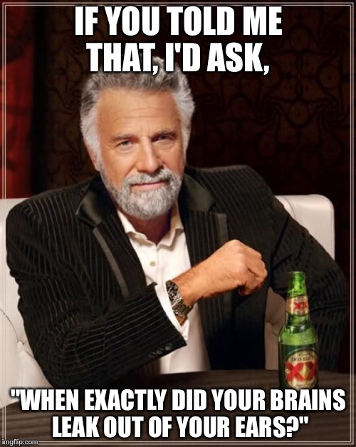 The Most Interesting Man In The World Meme | IF YOU TOLD ME THAT, I'D ASK, "WHEN EXACTLY DID YOUR BRAINS LEAK OUT OF YOUR EARS?" | image tagged in memes,the most interesting man in the world | made w/ Imgflip meme maker