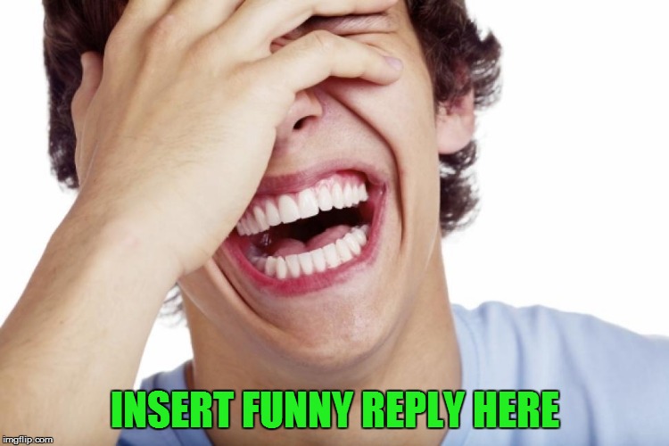 INSERT FUNNY REPLY HERE | made w/ Imgflip meme maker