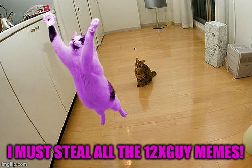 RayCat save the world | I MUST STEAL ALL THE 12XGUY MEMES! | image tagged in raycat save the world | made w/ Imgflip meme maker