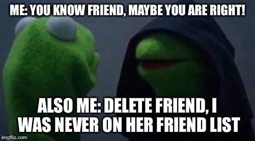 kermit me to me | ME: YOU KNOW FRIEND, MAYBE YOU ARE RIGHT! ALSO ME: DELETE FRIEND, I WAS NEVER ON HER FRIEND LIST | image tagged in kermit me to me | made w/ Imgflip meme maker
