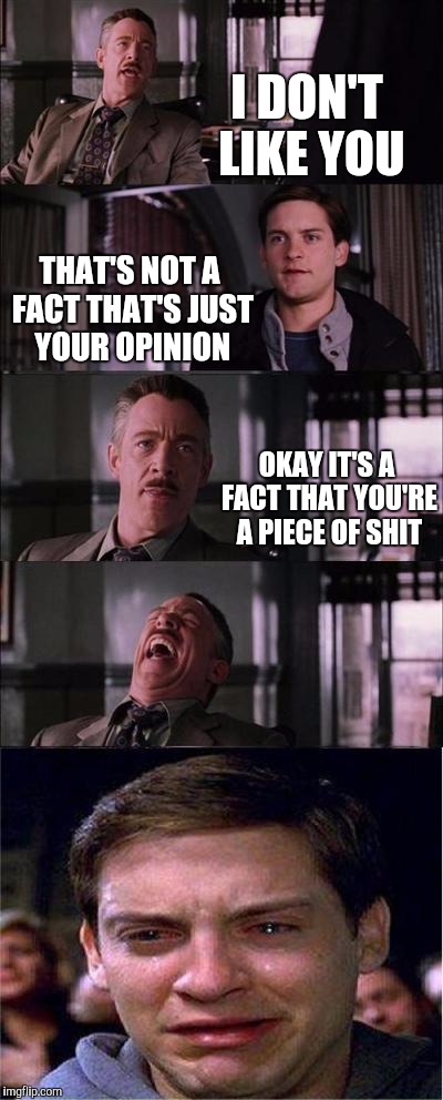 Fact | I DON'T LIKE YOU; THAT'S NOT A FACT THAT'S JUST YOUR OPINION; OKAY IT'S A FACT THAT YOU'RE A PIECE OF SHIT | image tagged in memes,peter parker cry | made w/ Imgflip meme maker
