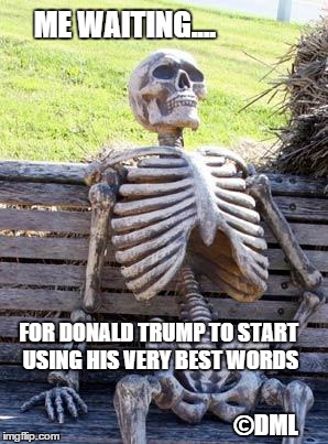 DONALD TRUMP'S VERY BEST WORDS! | ME WAITING.... FOR DONALD TRUMP TO START USING HIS VERY BEST WORDS; ©DML | image tagged in donald trump,the donald,the best | made w/ Imgflip meme maker