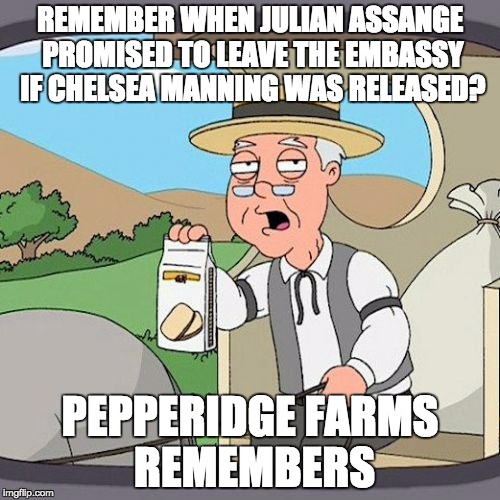 Pepperidge Farm Remembers | REMEMBER WHEN JULIAN ASSANGE PROMISED TO LEAVE THE EMBASSY IF CHELSEA MANNING WAS RELEASED? PEPPERIDGE FARMS REMEMBERS | image tagged in memes,pepperidge farm remembers,AdviceAnimals | made w/ Imgflip meme maker