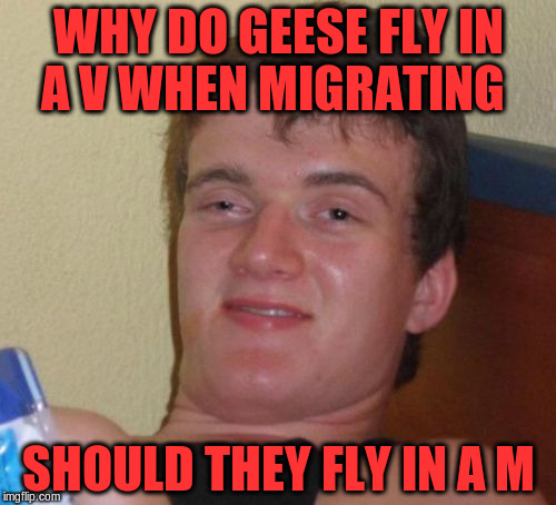 10 Guy Meme | WHY DO GEESE FLY IN A V WHEN MIGRATING; SHOULD THEY FLY IN A M | image tagged in memes,10 guy | made w/ Imgflip meme maker
