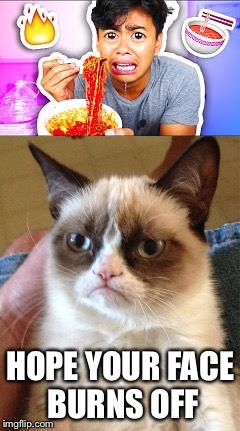 HOPE YOUR FACE BURNS OFF | image tagged in guava juice,grumpy cat strikes again,nuclear noodle challenge,y u no smarter | made w/ Imgflip meme maker