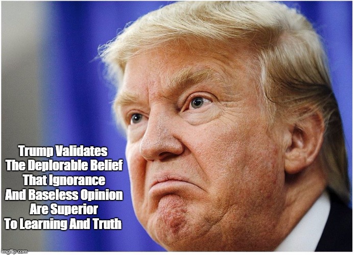 "Trump Represents This Fundamental Danger" | Trump Validates The Deplorable Belief That Ignorance And Baseless Opinion Are Superior To Learning And Truth | image tagged in deplorable donald,despicable donald,despotic donald,dishonest donald,devious donald,dishonorable donald | made w/ Imgflip meme maker