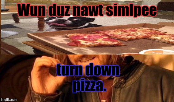 P is for pizza. That good enuf 4 me. :D | Wun duz nawt simlpee; turn down pizza. | image tagged in funny,one does not simply,hungry,dogs,food,memes | made w/ Imgflip meme maker