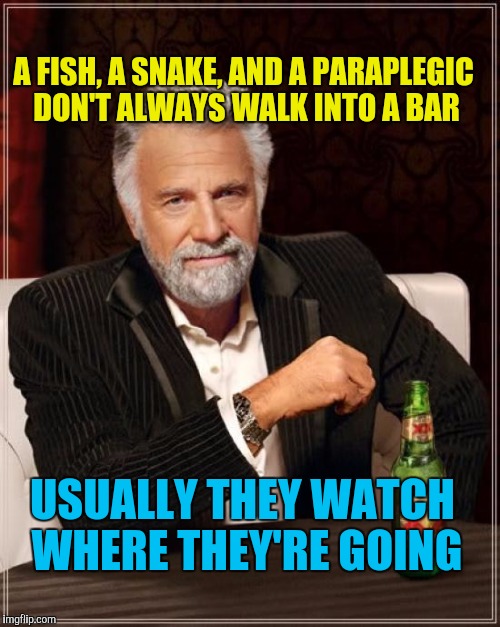 Swimin', Slitherin', & Slip-Slidin' Away | A FISH, A SNAKE, AND A PARAPLEGIC DON'T ALWAYS WALK INTO A BAR; USUALLY THEY WATCH WHERE THEY'RE GOING | image tagged in memes,the most interesting man in the world | made w/ Imgflip meme maker