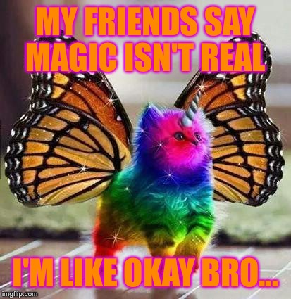 Rainbow unicorn butterfly kitten | MY FRIENDS SAY MAGIC ISN'T REAL; I'M LIKE OKAY BRO... | image tagged in rainbow unicorn butterfly kitten | made w/ Imgflip meme maker