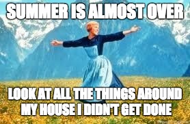Look At All These | SUMMER IS ALMOST OVER; LOOK AT ALL THE THINGS AROUND MY HOUSE I DIDN'T GET DONE | image tagged in memes,look at all these | made w/ Imgflip meme maker