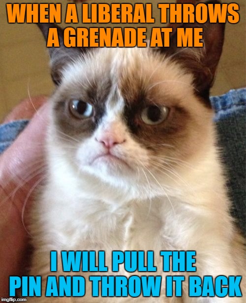 Grumpy Cat Meme | WHEN A LIBERAL THROWS A GRENADE AT ME; I WILL PULL THE PIN AND THROW IT BACK | image tagged in memes,grumpy cat | made w/ Imgflip meme maker