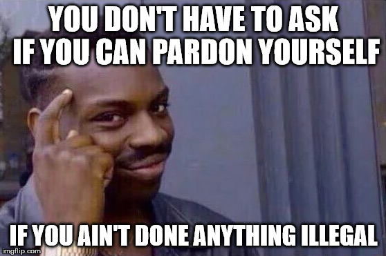 True, articles of impeachment have been submitted... | YOU DON'T HAVE TO ASK IF YOU CAN PARDON YOURSELF; IF YOU AIN'T DONE ANYTHING ILLEGAL | image tagged in you cant - if you don't,trump,presidential pardon,memes,politics | made w/ Imgflip meme maker