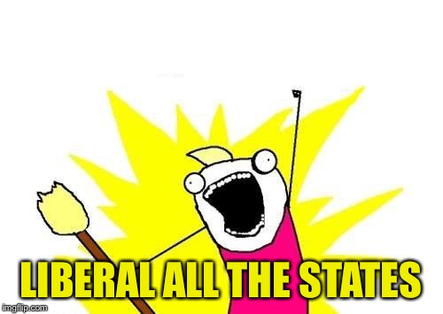 X All The Y Meme | LIBERAL ALL THE STATES | image tagged in memes,x all the y | made w/ Imgflip meme maker