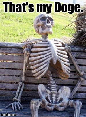 Waiting Skeleton Meme | That's my Doge. | image tagged in memes,waiting skeleton | made w/ Imgflip meme maker