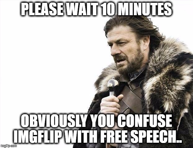 Brace Yourselves X is Coming Meme | PLEASE WAIT 10 MINUTES; OBVIOUSLY YOU CONFUSE IMGFLIP WITH FREE SPEECH.. | image tagged in memes,brace yourselves x is coming | made w/ Imgflip meme maker