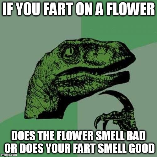 Philosoraptor Meme | IF YOU FART ON A FLOWER; DOES THE FLOWER SMELL BAD OR DOES YOUR FART SMELL GOOD | image tagged in memes,philosoraptor | made w/ Imgflip meme maker