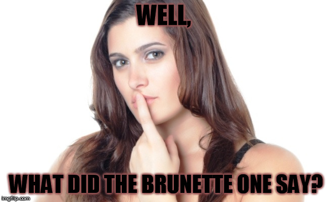 WELL, WHAT DID THE BRUNETTE ONE SAY? | made w/ Imgflip meme maker