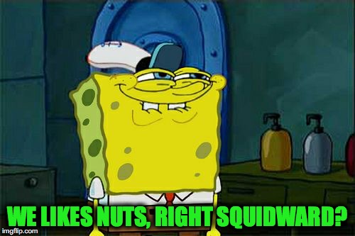 Don't You Squidward Meme | WE LIKES NUTS, RIGHT SQUIDWARD? | image tagged in memes,dont you squidward | made w/ Imgflip meme maker