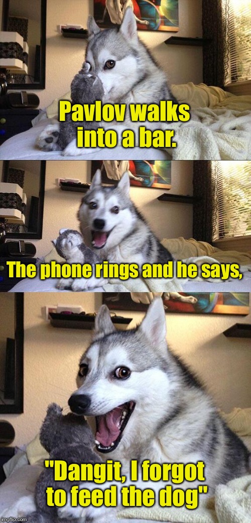 Bad Pun Dog | Pavlov walks into a bar. The phone rings and he says, "Dangit, I forgot to feed the dog" | image tagged in memes,bad pun dog | made w/ Imgflip meme maker