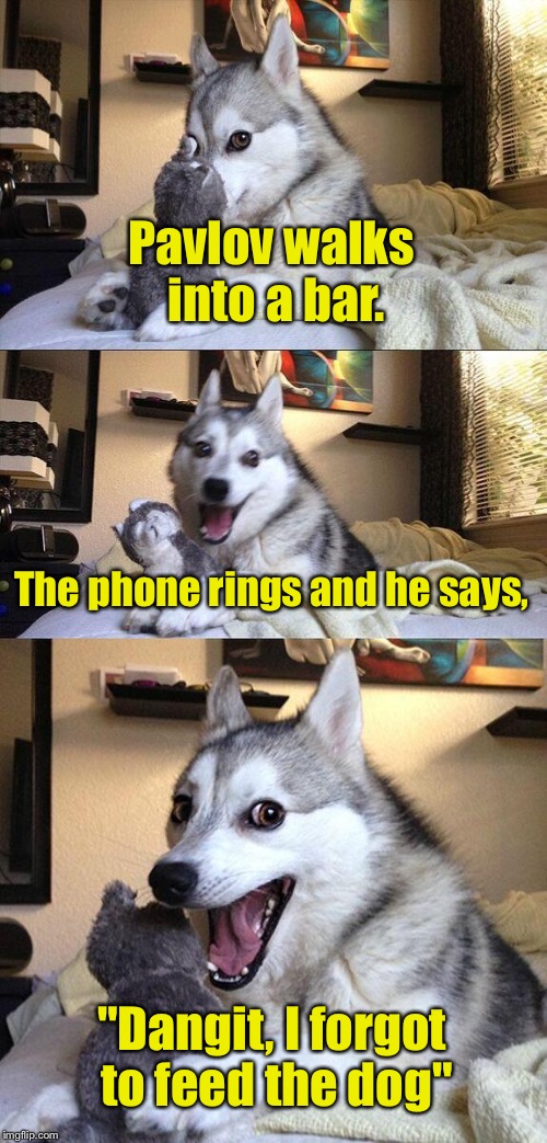 Bad Pun Dog Meme | Pavlov walks into a bar. The phone rings and he says, "Dangit, I forgot to feed the dog" | image tagged in memes,bad pun dog | made w/ Imgflip meme maker