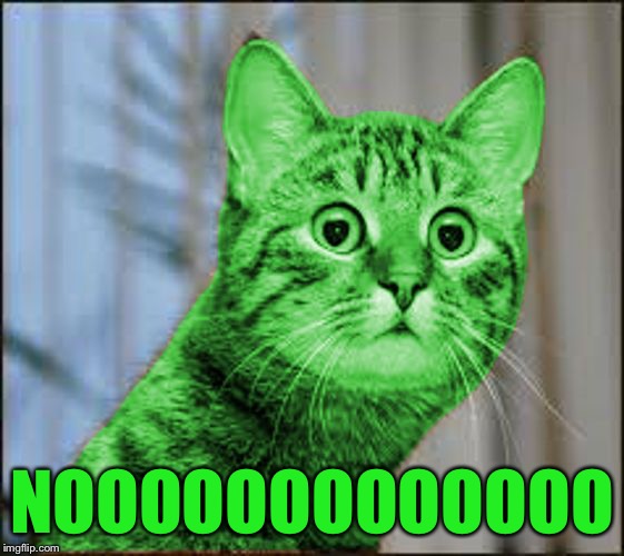 RayCat WTF | NOOOOOOOOOOOOO | image tagged in raycat wtf | made w/ Imgflip meme maker