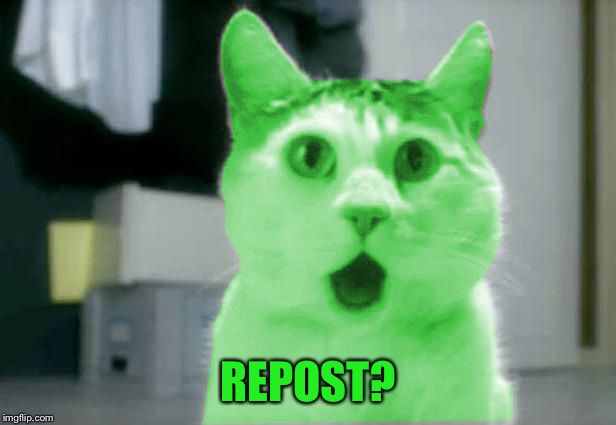 OMG RayCat | REPOST? | image tagged in omg raycat | made w/ Imgflip meme maker