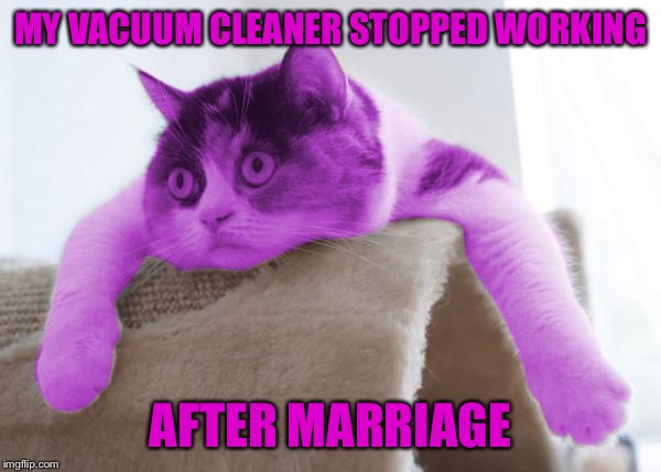 RayCat Stare | MY VACUUM CLEANER STOPPED WORKING AFTER MARRIAGE | image tagged in raycat stare | made w/ Imgflip meme maker