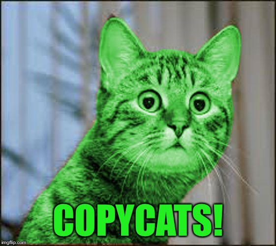 RayCat WTF | COPYCATS! | image tagged in raycat wtf | made w/ Imgflip meme maker